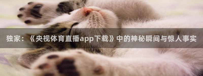 独家：《央视体育直播app下载》中的神秘瞬间与惊人事实
