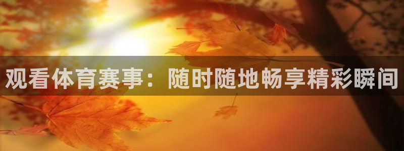 观看体育赛事：随时随地畅享精彩瞬间