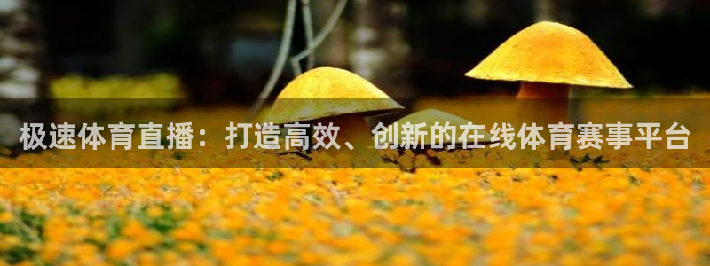 极速体育直播：打造高效、创新的在线体育赛事平台
