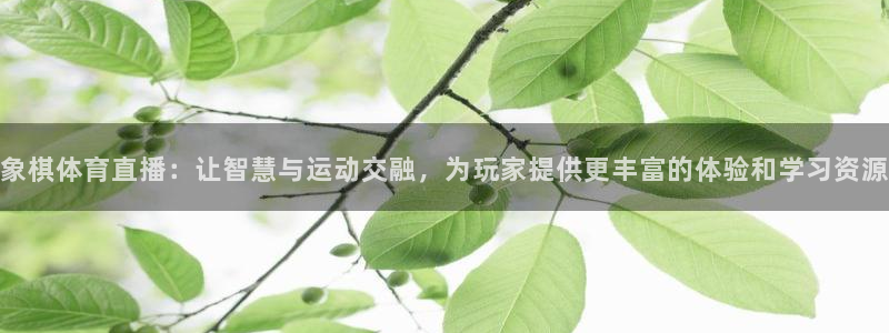 象棋体育直播：让智慧与运动交融，为玩家提供更丰富的体验和学习资源